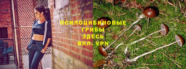 мескалин Балахна