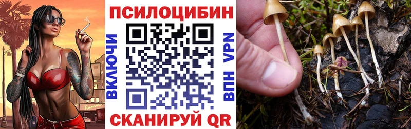 Псилоцибиновые грибы GOLDEN TEACHER OMG ТОР Заполярный
